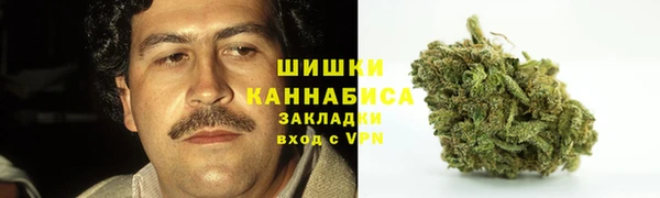 соль ск Чекалин